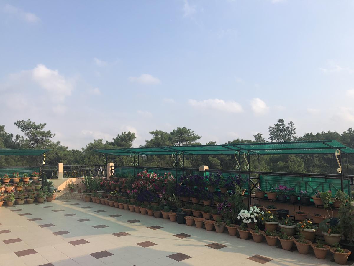 Orange Homestay Shillong Exterior photo